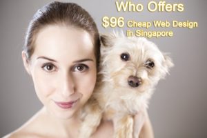 SG $96 Cheap Web Design in Singapore